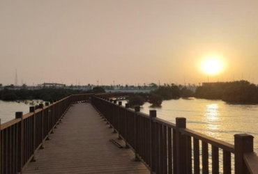 Eco-Friendly WPC Flooring: A Durable and Versatile Solution for Modern Spaces